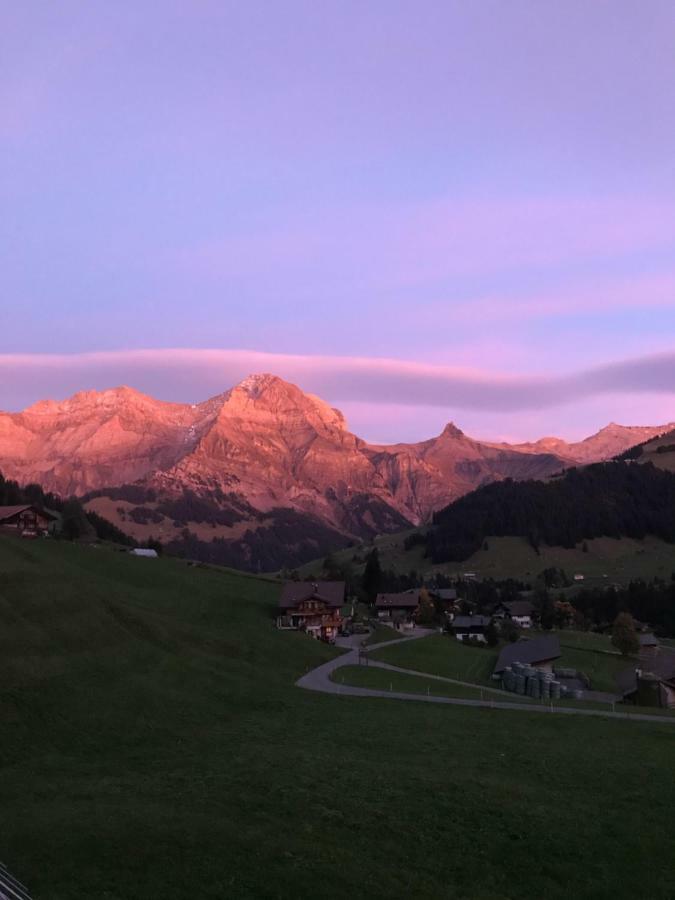 Hotel Abelied Adelboden Exterior foto