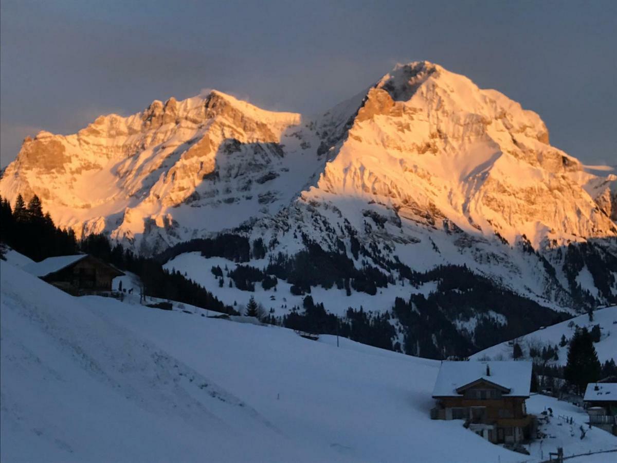 Hotel Abelied Adelboden Exterior foto